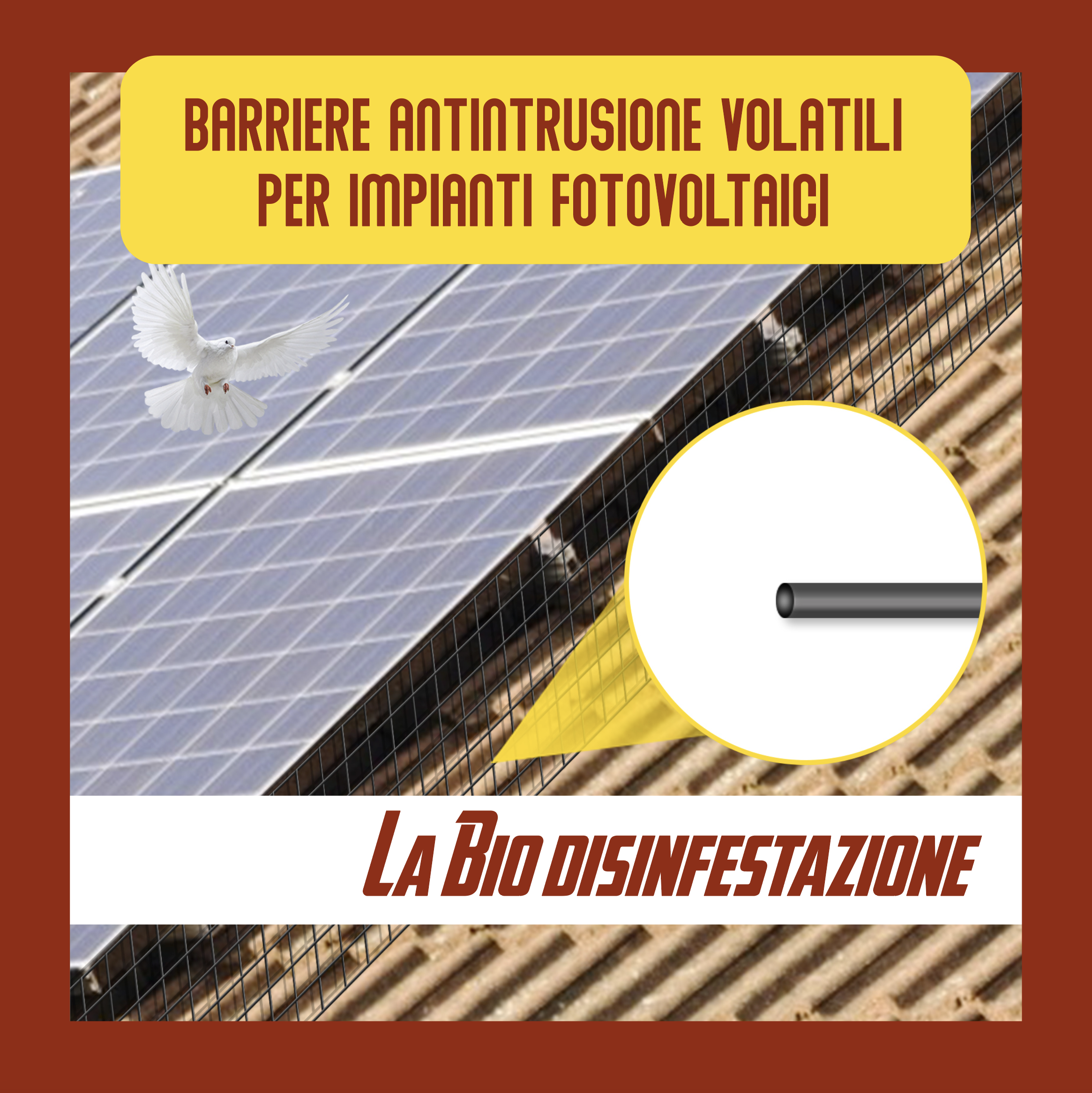 barriera antintrusione volatili Sun Services